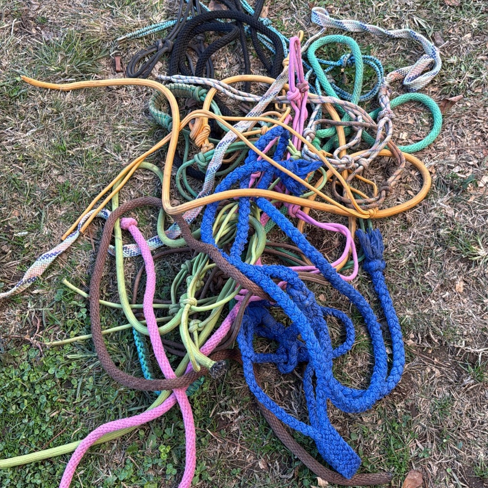 9 horse halters